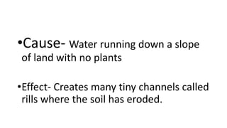 •Cause- Water running down a slope
of land with no plants
•Effect- Creates many tiny channels called
rills where the soil has eroded.
 