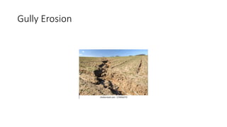 Gully Erosion
 