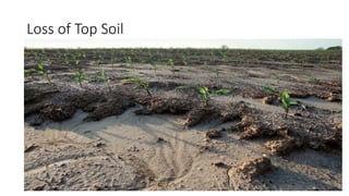 Loss of Top Soil
 