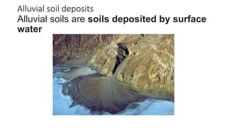 Alluvial soil deposits
Alluvial soils are soils deposited by surface
water
 