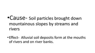 •Cause- Soil particles brought down
mountainous slopes by streams and
rivers
•Effect- Alluvial soil deposits form at the mouths
of rivers and on river banks.
 