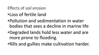 Effects of soil erosion
•Loss of fertile land
•Pollution and sedimentation in water
bodies that sees a decline in marine life
•Degraded lands hold less water and are
more prone to flooding.
•Rills and gullies make cultivation harder.
 