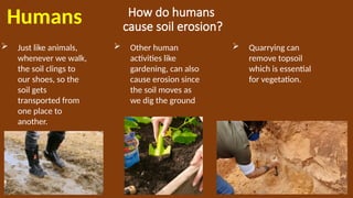 How do humans
cause soil erosion?
Humans
 Just like animals,
whenever we walk,
the soil clings to
our shoes, so the
soil gets
transported from
one place to
another.
 Quarrying can
remove topsoil
which is essential
for vegetation.
 Other human
activities like
gardening, can also
cause erosion since
the soil moves as
we dig the ground
 