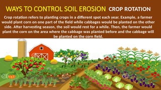 WAYS TO CONTROL SOIL EROSION CROP ROTATION
Crop rotation refers to planting crops in a different spot each year. Example, a farmer
would plant corn on one part of the field while cabbages would be planted on the other
side. After harvesting season, the soil would rest for a while. Then, the farmer would
plant the corn on the area where the cabbage was planted before and the cabbage will
be planted on the corn field.
 
