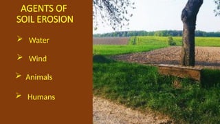 AGENTS OF
SOIL EROSION
 Water
 Wind
 Animals
 Humans
 