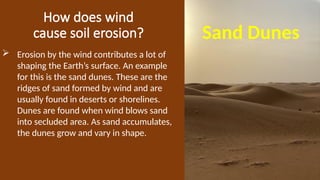 How does wind
cause soil erosion? Sand Dunes
 Erosion by the wind contributes a lot of
shaping the Earth’s surface. An example
for this is the sand dunes. These are the
ridges of sand formed by wind and are
usually found in deserts or shorelines.
Dunes are found when wind blows sand
into secluded area. As sand accumulates,
the dunes grow and vary in shape.
 