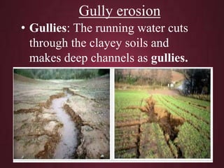 Soil erosion kvg | PPTX