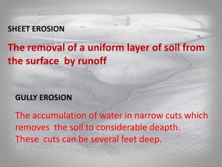 SHEET EROSION
The removal of a uniform layer of soil from
the surface by runoff
GULLY EROSION
The accumulation of water in narrow cuts which
removes the soil to considerable deapth.
These cuts can be several feet deep.
 