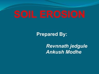 SOIL EROSION
Prepared By:
Revnnath jedgule
Ankush Modhe
 