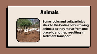 grade 5 quarter 4 ppt Soil Erosion W6d1.pdf