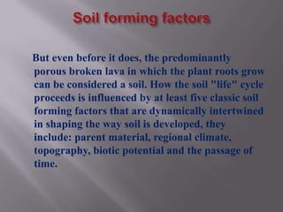 But even before it does, the predominantly
porous broken lava in which the plant roots grow
can be considered a soil. How the soil "life" cycle
proceeds is influenced by at least five classic soil
forming factors that are dynamically intertwined
in shaping the way soil is developed, they
include: parent material, regional climate,
topography, biotic potential and the passage of
time.
 