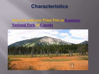 Iron rich soil near Paint Pots in Kootenay
National Park of Canada.
 