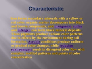 Iron forms secondary minerals with a yellow or
red color, organic matter decomposes into black
and brown compounds, and manganese, sulfur
and nitrogen can form black mineral deposits.
These pigments produce various color patterns
due to effects by the environment during soil
formation. Aerobic conditions produce uniform
or gradual color changes, while reducing
environments result in disrupted color flow with
complex, mottled patterns and points of color
concentration.
 