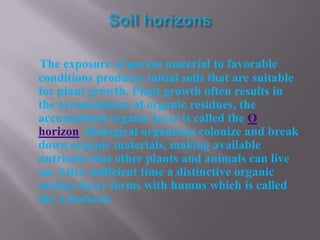 The exposure of parent material to favorable
conditions produces initial soils that are suitable
for plant growth. Plant growth often results in
the accumulation of organic residues, the
accumulated organic layer is called the O
horizon. Biological organisms colonize and break
down organic materials, making available
nutrients that other plants and animals can live
on. After sufficient time a distinctive organic
surface layer forms with humus which is called
the A horizon.
 
