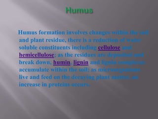 Humus formation involves changes within the soil
and plant residue, there is a reduction of water
soluble constituents including cellulose and
hemicellulose; as the residues are deposited and
break down, humin, lignin and lignin complexes
accumulate within the soil; as microorganisms
live and feed on the decaying plant matter, an
increase in proteins occurs.
 