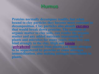 Proteins normally decompose readily, but when
bound to clay particles they become more resistant to
decomposition. Clay particles also absorb enzymes
that would break down proteins. The addition of
organic matter to clay soils, can render the organic
matter and any added nutrients inaccessible to
plants and microbes for many years, since they can
bind strongly to the clay. High soil tannin
(polyphenol) content from plants can cause nitrogen
to be sequestered by proteins or cause nitrogen
immobilization, also making nitrogen unavailable to
plants.
 