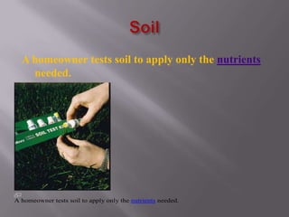 A homeowner tests soil to apply only the nutrients
    needed.




A homeowner tests soil to apply only the nutrients needed.
 