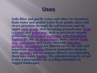 Soils filter and purify water and affect its chemistry.
Rain water and pooled water from ponds, lakes and
rivers percolate through the soil horizons and the
upper rock strata; thus becoming groundwater. Pests
(viruses) and pollutants, such as persistent organic
pollutants (chlorinated pesticides, polychlorinated
biphenyls), oils (hydrocarbons), heavy metals (lead,
zinc, cadmium), and excess nutrients (nitrates,
sulfates, phosphates) are filtered out by the soil. Soil
organisms metabolize them or immobilize them in
their biomass and necromass, thereby incorporating
them into stable humus. The physical integrity of soil
is also a prerequisite for avoiding landslides in
rugged landscapes.
 