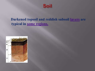 Darkened topsoil and reddish subsoil layers are
typical in some regions.
 