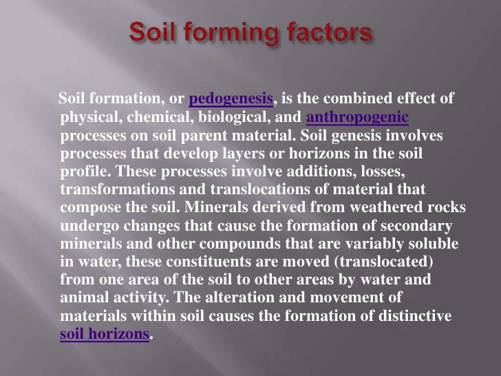 soil ex what is soil made of and how does it form