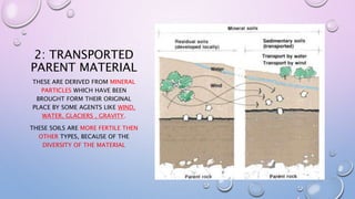 2: TRANSPORTED
PARENT MATERIAL
THESE ARE DERIVED FROM MINERAL
PARTICLES WHICH HAVE BEEN
BROUGHT FORM THEIR ORIGINAL
PLACE BY SOME AGENTS LIKE WIND,
WATER, GLACIERS , GRAVITY.
THESE SOILS ARE MORE FERTILE THEN
OTHER TYPES, BECAUSE OF THE
DIVERSITY OF THE MATERIAL
 