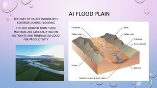 A) FLOOD PLAIN
THE PART OF VALLEY INUNDATED (
COVERED) DURING FLOODING
THE SOIL DERIVED FROM THESE
MATERIAL ARE GENERALLY RICH IN
NUTRIENTS AND MINERALS SO GOOD
FOR PRODUCTIVITY
 