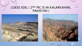 LOESS SOIL ( 2ND PIC IS IN KALARKAHAR,
PAKISTAN )
 