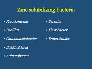 Zinc solubilizing bacteria
• Pseudomonas
• Bacillus
• Gluconacetobacter
• Burkholderia
• Acinetobacter
• Serratia
• Flavobacter
• Enterobacter
 