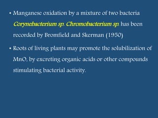 • Manganese oxidation by a mixture of two bacteria
Corynebacterium sp. Chromobacterium sp. has been
recorded by Bromfield and Skerman (1950)
• Roots of living plants may promote the solubilization of
MnO, by excreting organic acids or other compounds
stimulating bacterial activity.
 