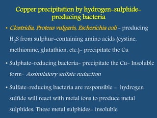 Copper precipitation by hydrogen-sulphide-
producing bacteria
• Clostridia, Proteus vulgaris, Escherichia coli - producing
H2S from sulphur-containing amino acids (cystine,
methionine, glutathion, etc.)- precipitate the Cu
• Sulphate-reducing bacteria- precipitate the Cu- Insoluble
form- Assimilatory sulfate reduction
• Sulfate-reducing bacteria are responsible - hydrogen
sulfide will react with metal ions to produce metal
sulphides. These metal sulphides- insoluble
 