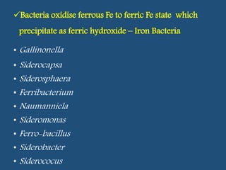 Bacteria oxidise ferrous Fe to ferric Fe state which
precipitate as ferric hydroxide – Iron Bacteria
• Gallinonella
• Siderocapsa
• Siderosphaera
• Ferribacterium
• Naumanniela
• Sideromonas
• Ferro-bacillus
• Siderobacter
• Siderococus
 