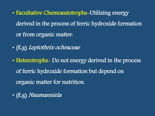 • Facultative Chemoautotrophs-Utilizing energy
derived in the process of ferric hydroxide formation
or from organic matter.
• (E,g) Leptothrix ochraceae
• Heterotrophs- Do not energy derived in the process
of ferric hydroxide formation but depend on
organic matter for nutrition.
• (E.g) Naumanniela
 