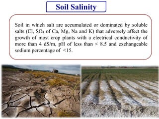 21
Soil in which salt are accumulated or dominated by soluble
salts (Cl, SO4 of Ca, Mg, Na and K) that adversely affect the
growth of most crop plants with a electrical conductivity of
more than 4 dS/m, pH of less than < 8.5 and exchangeable
sodium percentage of <15.
Soil Salinity
 