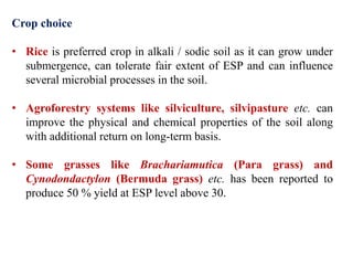 Crop choice
• Rice is preferred crop in alkali / sodic soil as it can grow under
submergence, can tolerate fair extent of ESP and can influence
several microbial processes in the soil.
• Agroforestry systems like silviculture, silvipasture etc. can
improve the physical and chemical properties of the soil along
with additional return on long-term basis.
• Some grasses like Brachariamutica (Para grass) and
Cynodondactylon (Bermuda grass) etc. has been reported to
produce 50 % yield at ESP level above 30.
 