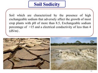 28
Soil which are characterized by the presence of high
exchangeable sodium that adversely affect the growth of most
crop plants with pH of more than 8.5, Exchangeable sodium
percentage of >15 and a electrical conductivity of less than 4
(dS/m) .
Soil Sodicity
 