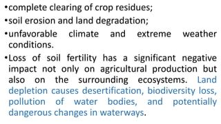 •complete clearing of crop residues;
•soil erosion and land degradation;
•unfavorable climate and extreme weather
conditions.
•Loss of soil fertility has a significant negative
impact not only on agricultural production but
also on the surrounding ecosystems. Land
depletion causes desertification, biodiversity loss,
pollution of water bodies, and potentially
dangerous changes in waterways.
 