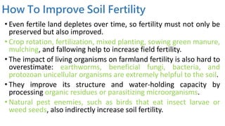 How To Improve Soil Fertility
• Even fertile land depletes over time, so fertility must not only be
preserved but also improved.
• Crop rotation, fertilization, mixed planting, sowing green manure,
mulching, and fallowing help to increase field fertility.
• The impact of living organisms on farmland fertility is also hard to
overestimate: earthworms, beneficial fungi, bacteria, and
protozoan unicellular organisms are extremely helpful to the soil.
• They improve its structure and water-holding capacity by
processing organic residues or parasitizing microorganisms.
• Natural pest enemies, such as birds that eat insect larvae or
weed seeds, also indirectly increase soil fertility.
 