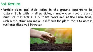 Soil Texture
•Particle sizes and their ratios in the ground determine its
texture. Soils with small particles, namely clay, have a dense
structure that acts as a nutrient container. At the same time,
such a structure can make it difficult for plant roots to access
nutrients dissolved in water.
 