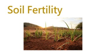 Soil Fertility
Soil Fertility
 