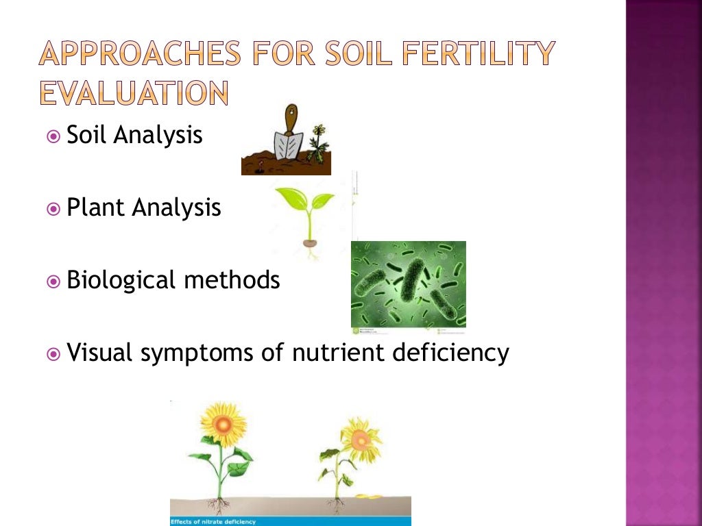 Soil fertility evaluation and fertilizer