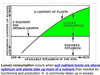 Luxury consumption occurs when soil nutrient levels are above
optimum and plants take up more of a nutrient than needed for 
functioning and production. K  is commonly taken up in excess.

 