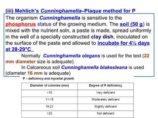 (iii) Mehlich’s Cunninghamella–Plaque method for P
The organism Cunninghamella is sensitive to the 
phosphorus status of the growing medium. The soil (50 g) is 
mixed with the nutrient soln, a paste is made, spread uniformly 
in the well of a specially constructed clay dish, inoculated on 
the surface of the paste and allowed to incubate for 4½ days
at 28-29°C. 
Normally  Cunninghamella olegans is used for the test (22
mm diameter size is adequate). 
In Calcareous soil Cunninghamella blakesleana is used 
(diameter 16 mm is adequate)

 