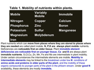 Table 1. Mobility of nutrients within plants.
Variably
Mobile
Immobile
Mobile
Nitrogen

Copper

Calcium

Phosphorus

Zinc

Boron

Potassium

Sulfur

Manganese

Magnesium

Molybdenum

Iron
Plant nutrients which can move from places where they are stored to places where
they are needed are called plant mobile. N, P,K are always plant mobile nutrients.
Deficiencies are noticeable first on older tissue. Plant immobile element
deficiencies are noticeable first on younger tissue. Ca and B are always plant
immobile nutrients. S,Cl,Cu, Zn, Mn, Fe and Mo are intermediate in plant mobility.
Under certain circumstances the intermediate elements are mobile. Mobility in
intermediate elements may be linked to the breakdown under low N conditions of
amino acids and proteins in older parts of the plant, and the mobility of these
organic compounds to younger parts of the plant in the phloem stream. Under good N
availability, these elements are mostly immobile.

 