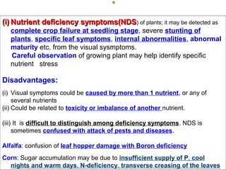 (i) Nutrient deficiency symptoms(NDS) of plants; it may be detected as
complete crop failure at seedling stage, severe stunting of
plants, specific leaf symptoms, internal abnormalities, abnormal
maturity etc. from the visual sysmptoms.
Careful observation of growing plant may help identify specific
nutrient stress

Disadvantages:
(i) Visual symptoms could be caused by more than 1 nutrient, or any of
several nutrients
(ii) Could be related to toxicity or imbalance of another nutrient.
(iii) It is difficult to distinguish among deficiency symptoms. NDS is
sometimes confused with attack of pests and diseases.
Alfalfa: confusion of leaf hopper damage with Boron deficiency
Corn: Sugar accumulation may be due to insufficient supply of P, cool
nights and warm days, N-deficiency, transverse creasing of the leaves

 