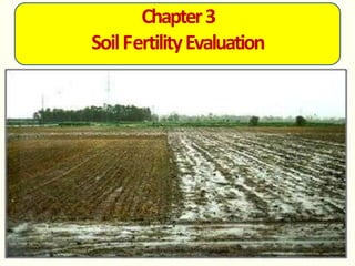 Chapter3
SoilFertilityEvaluation
 