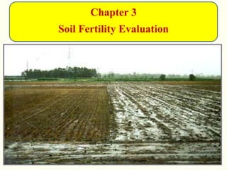 Chapter 3
Soil Fertility Evaluation
 