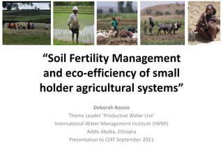“Soil Fertility Management and eco-efficiency of small holder agricultural systems” Deborah Bossio Theme Leader ‘Productive Water Use’  International Water Management Institute (IWMI)  Addis Ababa, Ethiopia Presentation to CIAT September 2011 