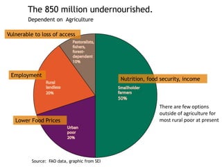 Soil Fertility Management and eco-efficiency of small holder agricultural systems