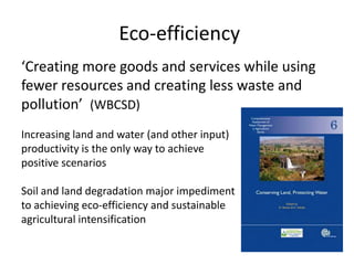 Soil Fertility Management and eco-efficiency of small holder agricultural systems