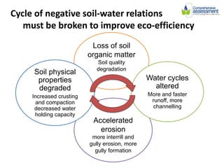 Soil Fertility Management and eco-efficiency of small holder agricultural systems
